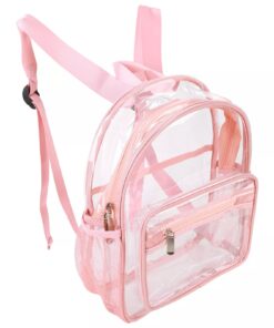 Clear backpack BCZ17.4