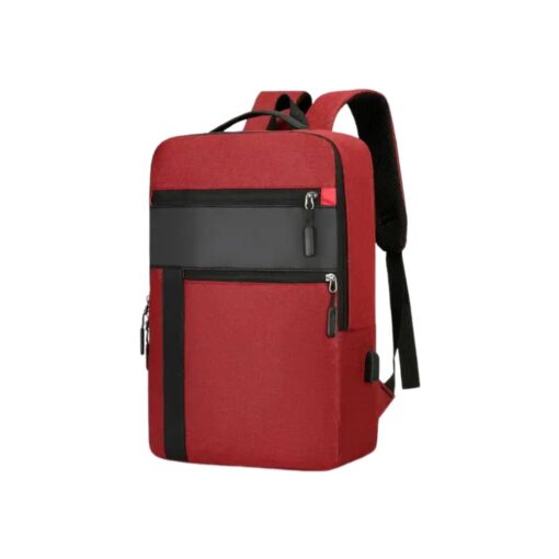 Laptop backpack ZL17.1 1